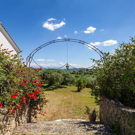 Classical Villa Anta Ágios Ioánnis المظهر الخارجي الصورة