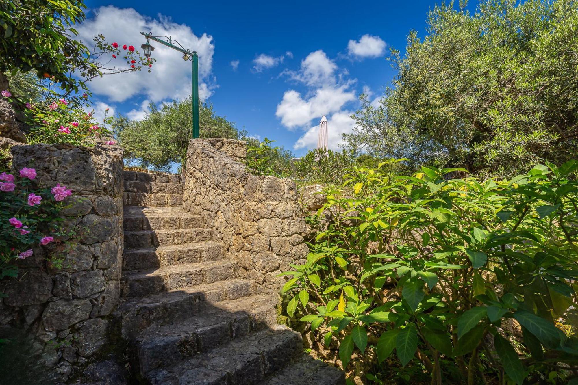 Classical Villa Anta Ágios Ioánnis المظهر الخارجي الصورة